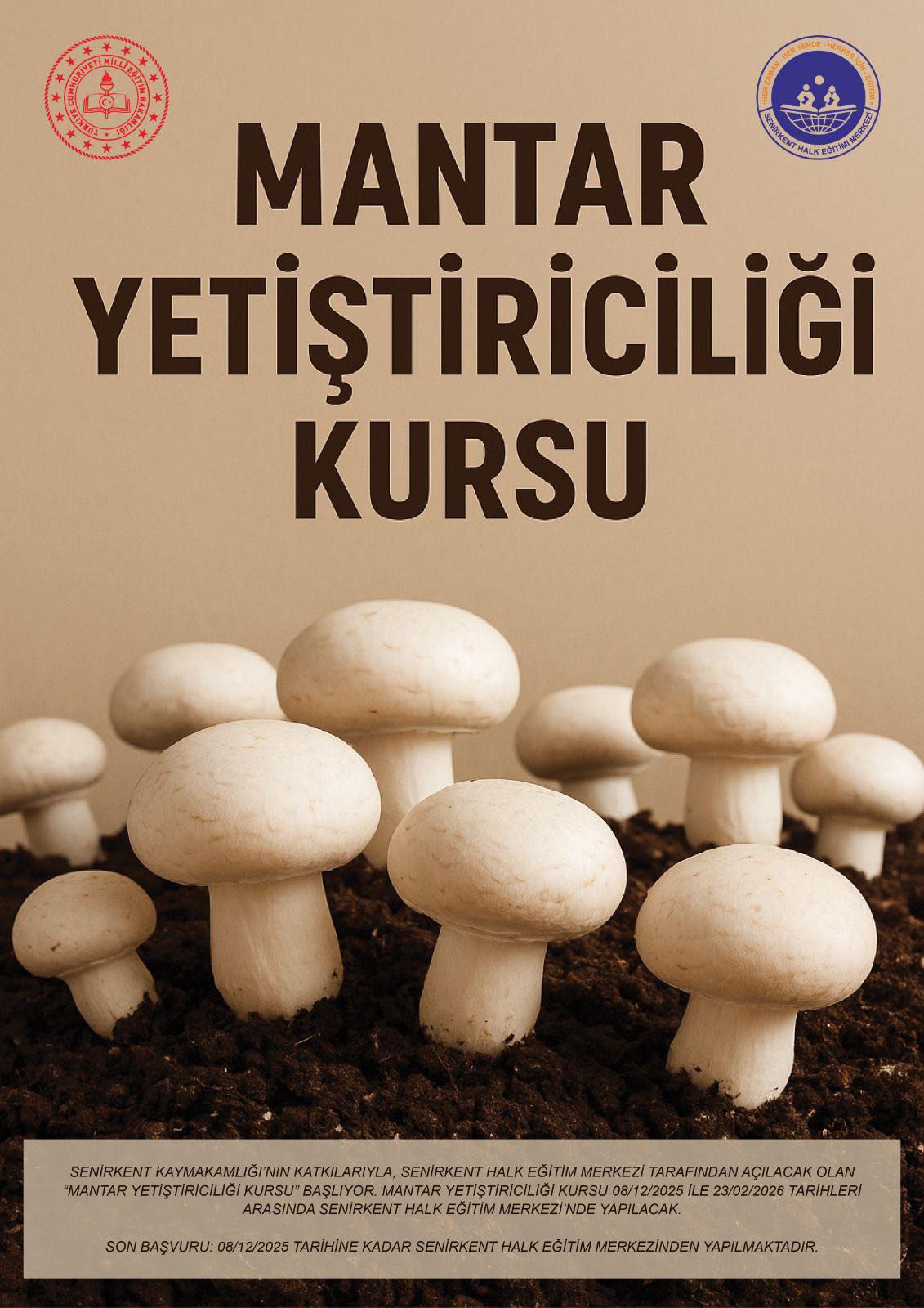 Senirkent’te mantar yetiştiriciliği kursu başlıyor-1