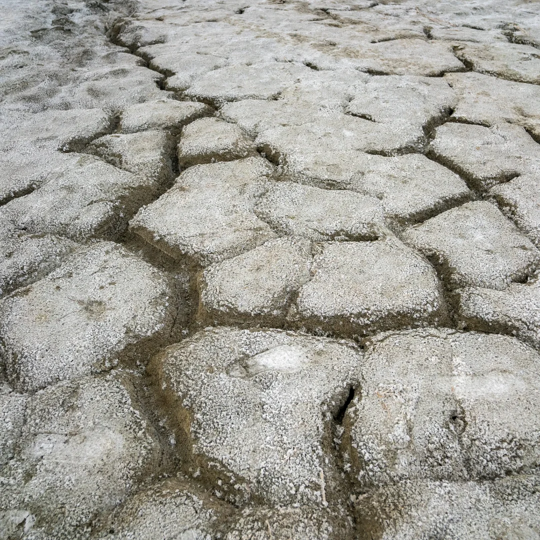 Antalya Su Grubu, Kestel Düdeni’nde İncelemelerde Bulundu (3)