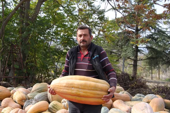 Bal Kabağı Üreticisine Yerinde Ziyaret! 1