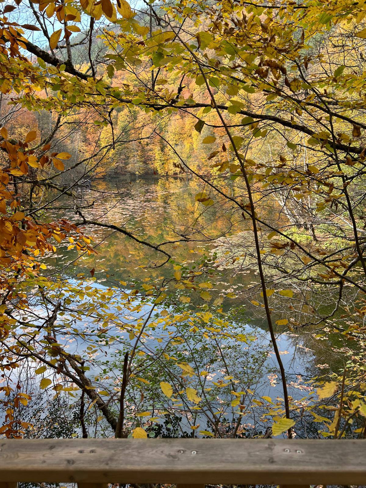 Deregümü Köyü Muhtarlığından Doğa Gezisi (6)