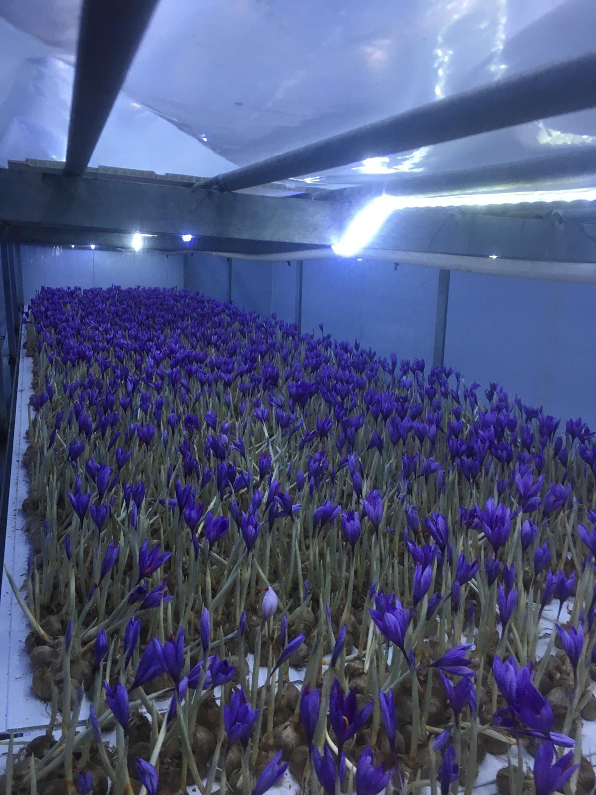 Eğirdir Karmantar Işletmesi 3