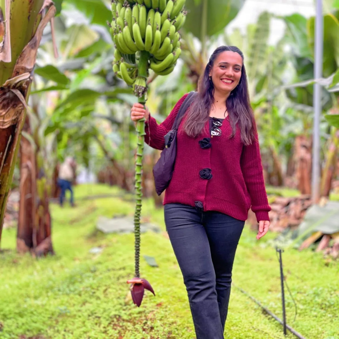 Gazipaşa’da Avakado Ve Muz Bahçelerinde Görsel Şölen (5)