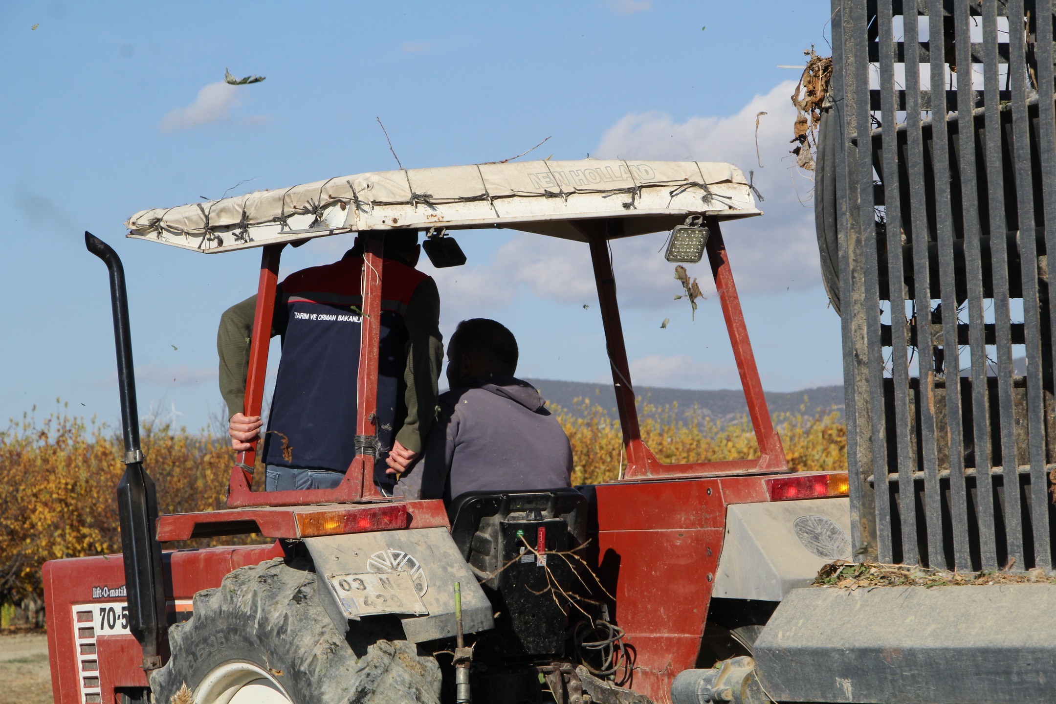 Gönen’de 2025 Şeker Pancarı Hasadı Rekolte Beklentisi Yüzleri Güldürüyor (12)