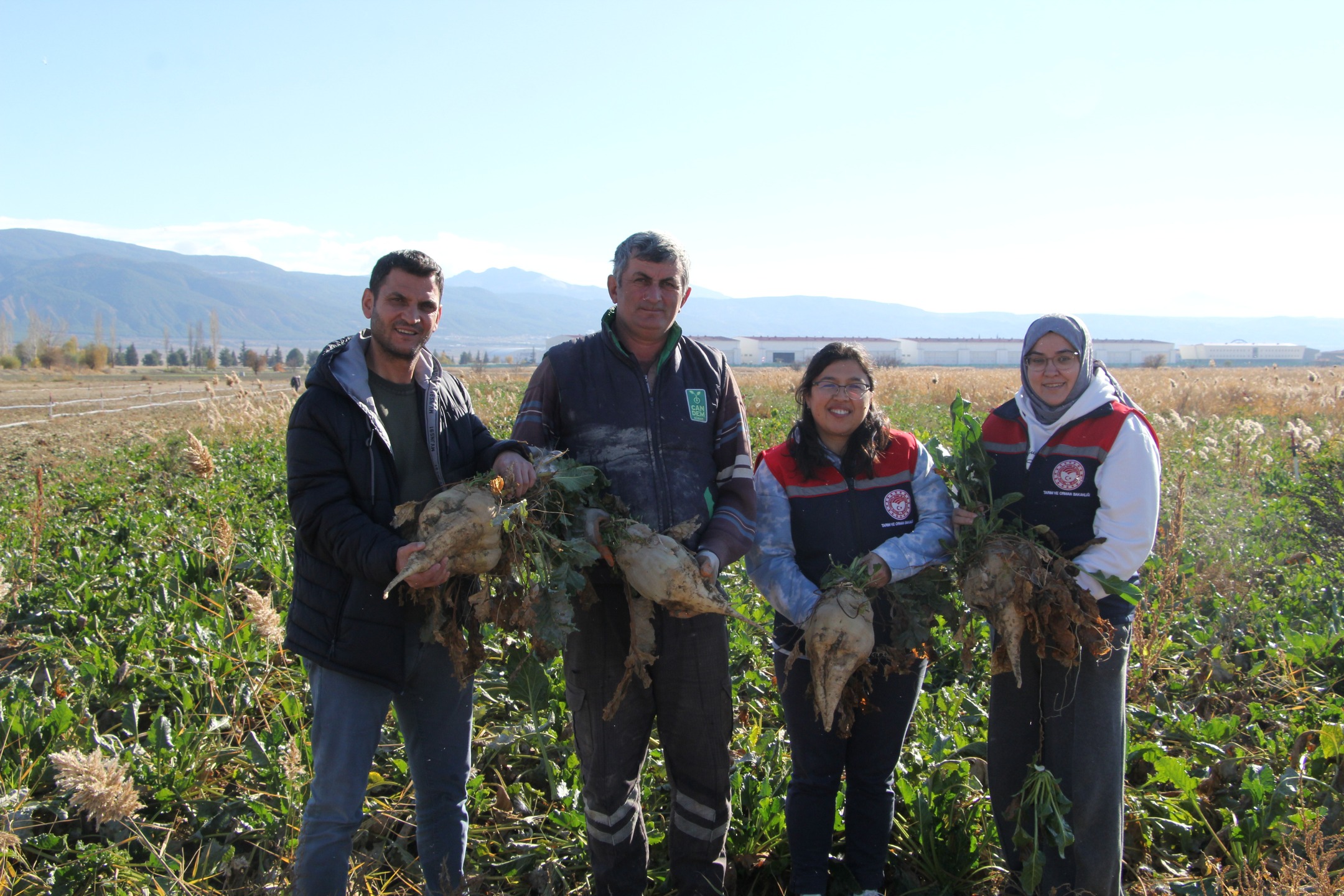 Gönen’de 2025 Şeker Pancarı Hasadı Rekolte Beklentisi Yüzleri Güldürüyor (14)