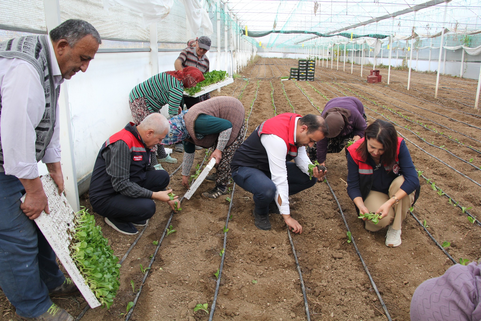 Isparta’da 343 Bin 500 Marul Fidesi Üreticiyle Buluştu (2)