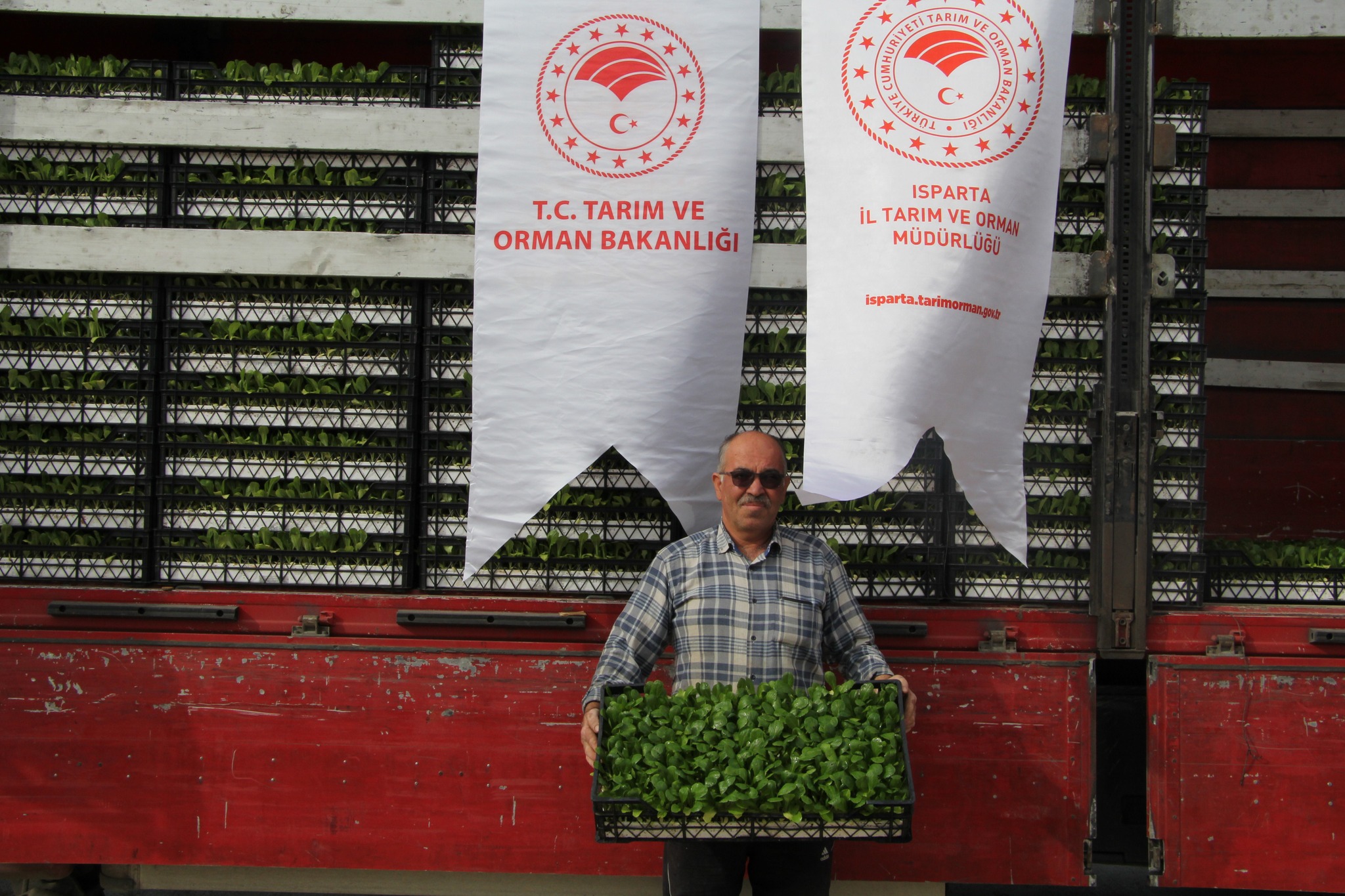 Isparta’da 343 Bin 500 Marul Fidesi Üreticiyle Buluştu (3)