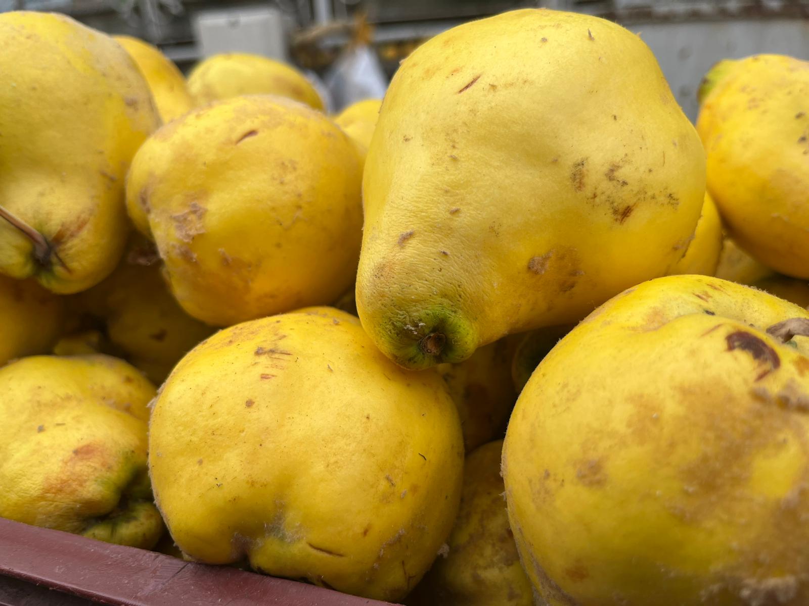 Isparta’da Ayva Zammı Gündem Konusu Oldu (6)