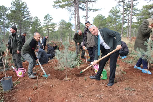 Isparta’da Öğretmenlerden 24 Kasım Anısına Fidan Dikti (2)