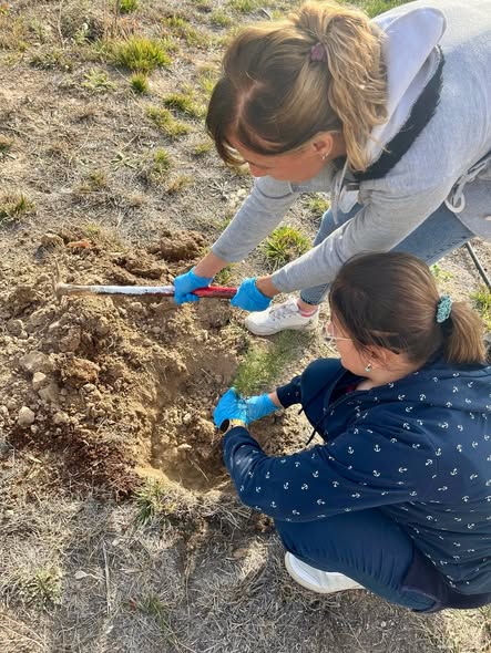 Ispartada Yurt Öğrencileri Fidan Dikti 1