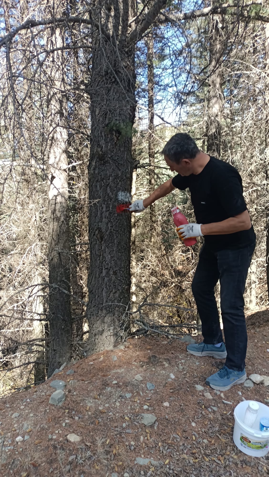 Isparta’dan Sagalassos Antik Kenti’ne İki Yeni Yürüyüş Rotası Açıldı (3)