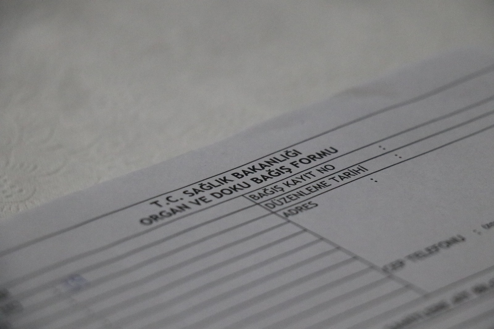 Organ Bekleyen Binlerce Hastaya Umut Sdü'den Yükseliyor! (5)