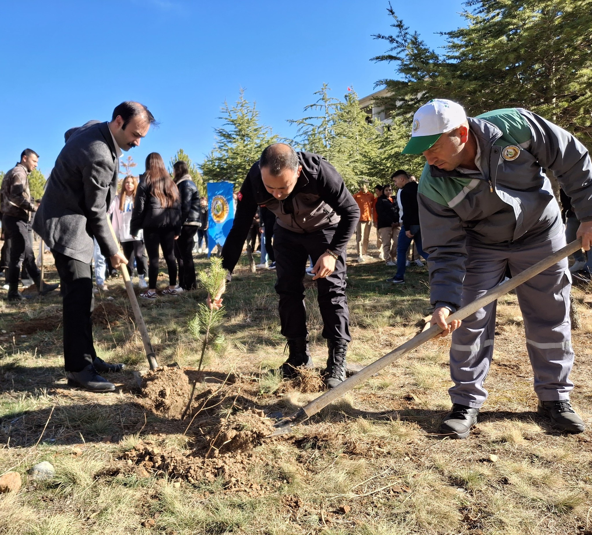 Yenişarbademli’de Fidanlar Toparlakla Buluştu (3)