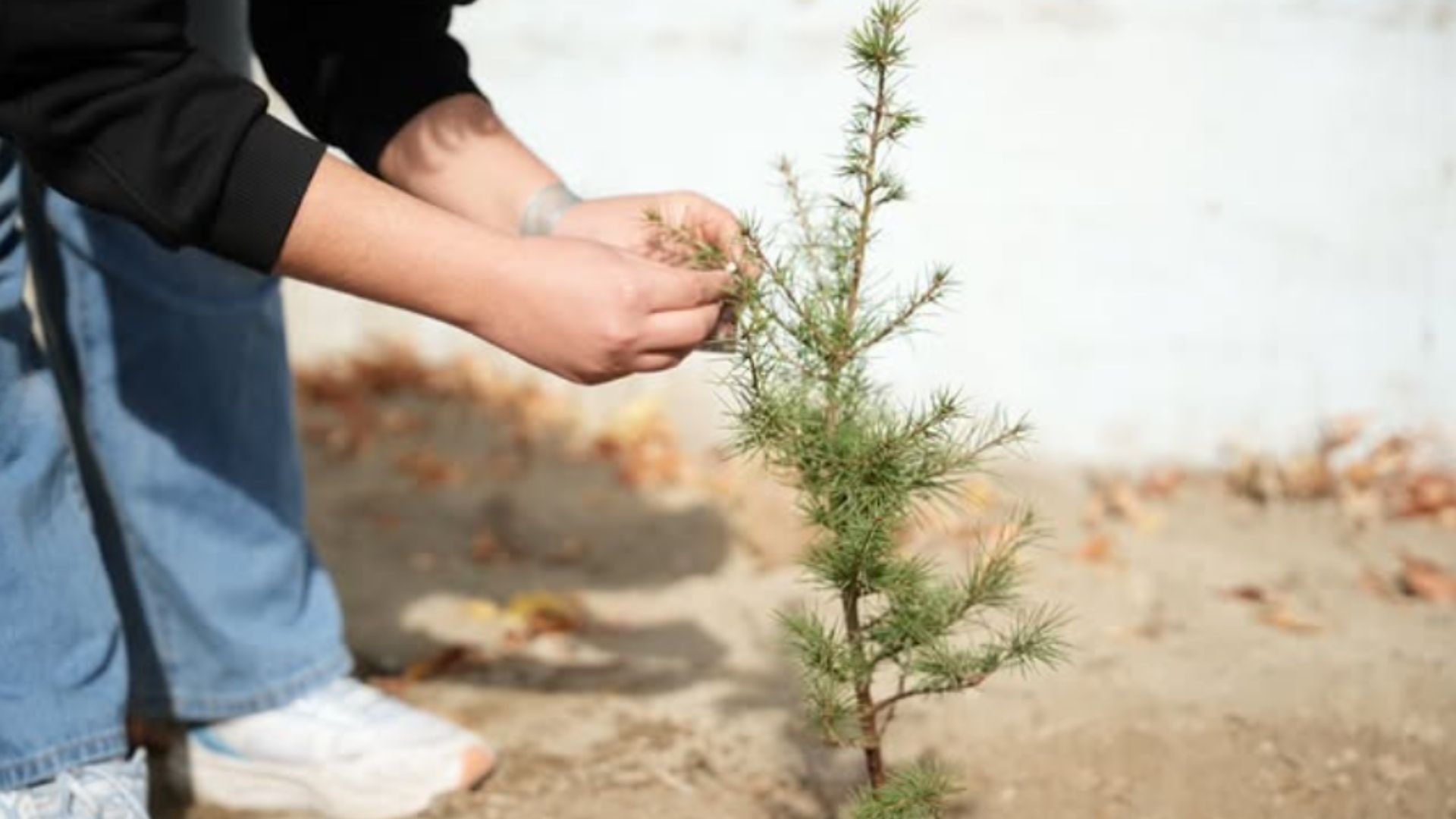 Yeşil Vatan Etkinliği Gerçekleştirildi 3