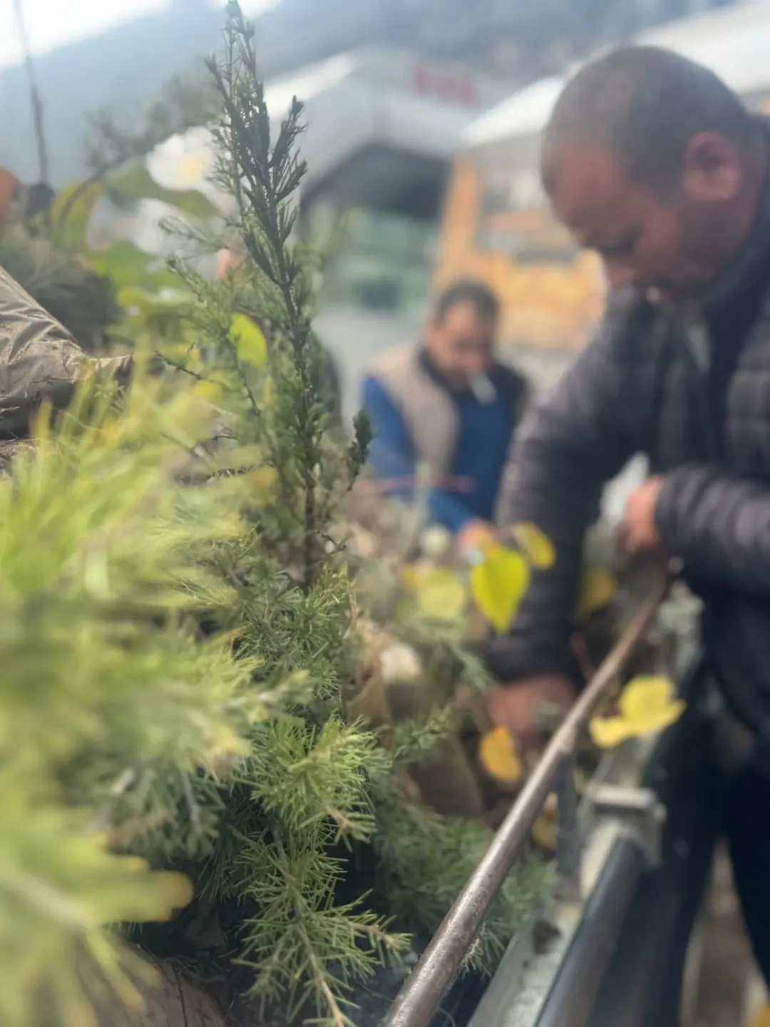 Yeşil Vatan Seferberliği Kapsamında Eğirdir Orman İşletme Müdürlüğümüzce Ilçe Merkezinde Fidan