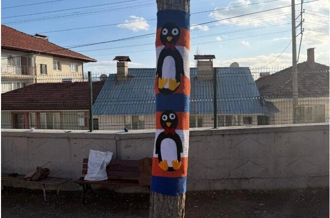 Burdurda Ağaçlar Kıyafet Giydi