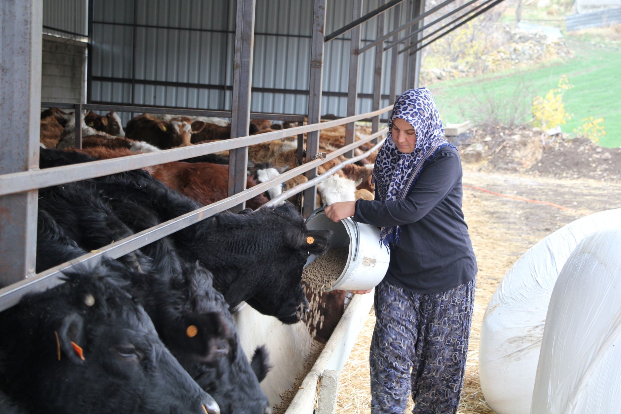 Isparta’da “Kırsalda Bereket Projesi” Üreticiye Güç Katıyor (2)