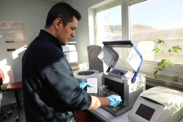 Isubü’de Yenilebilir Aşı Çalışması 2