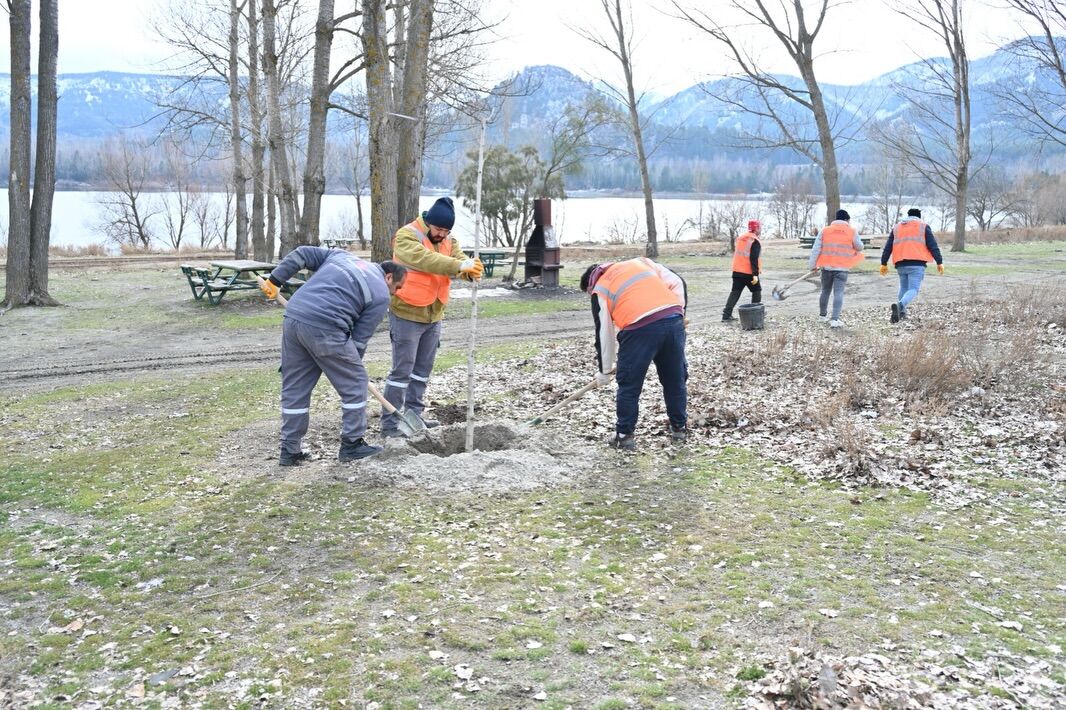 Gölcük Yeşilleniyor, Doğa Yeniden Canlanıyor 2