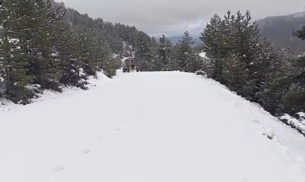 Golhisar Kar