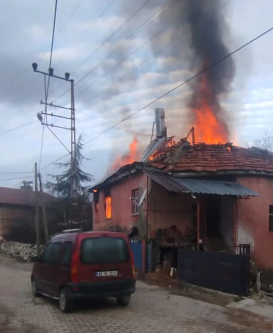 Ev Yangını-2