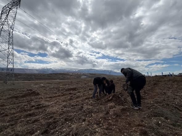 Gelendost’ta Doğa İçin Anlamlı Adım 300 Fidan Dikildi 2