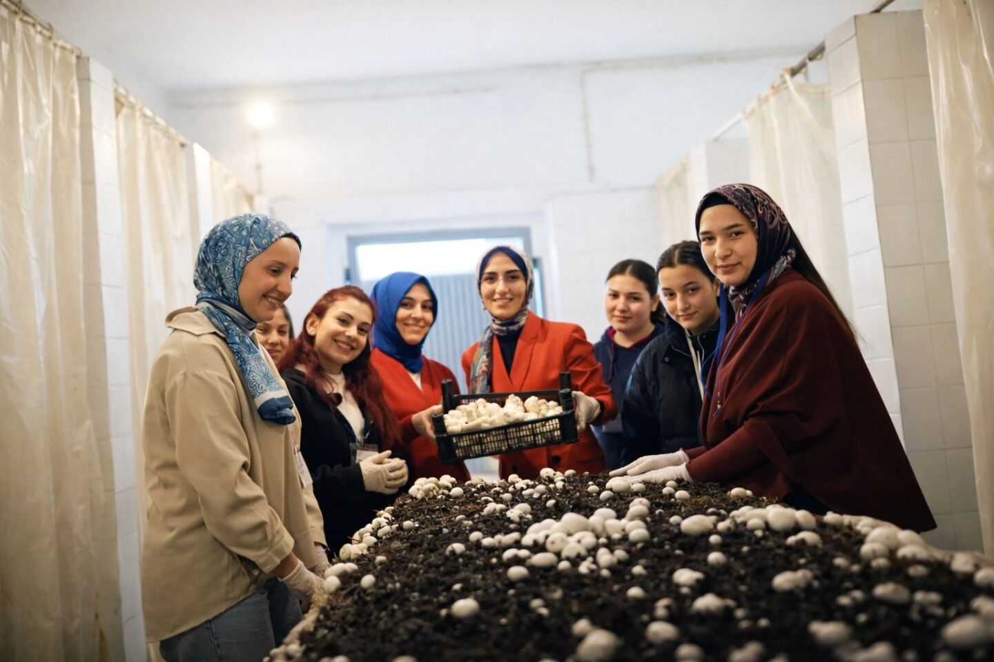 Gül Şehri Mtal Öğrencilerinden Üretim Başarısı 200 Kilo Mantar Hasadı (1)