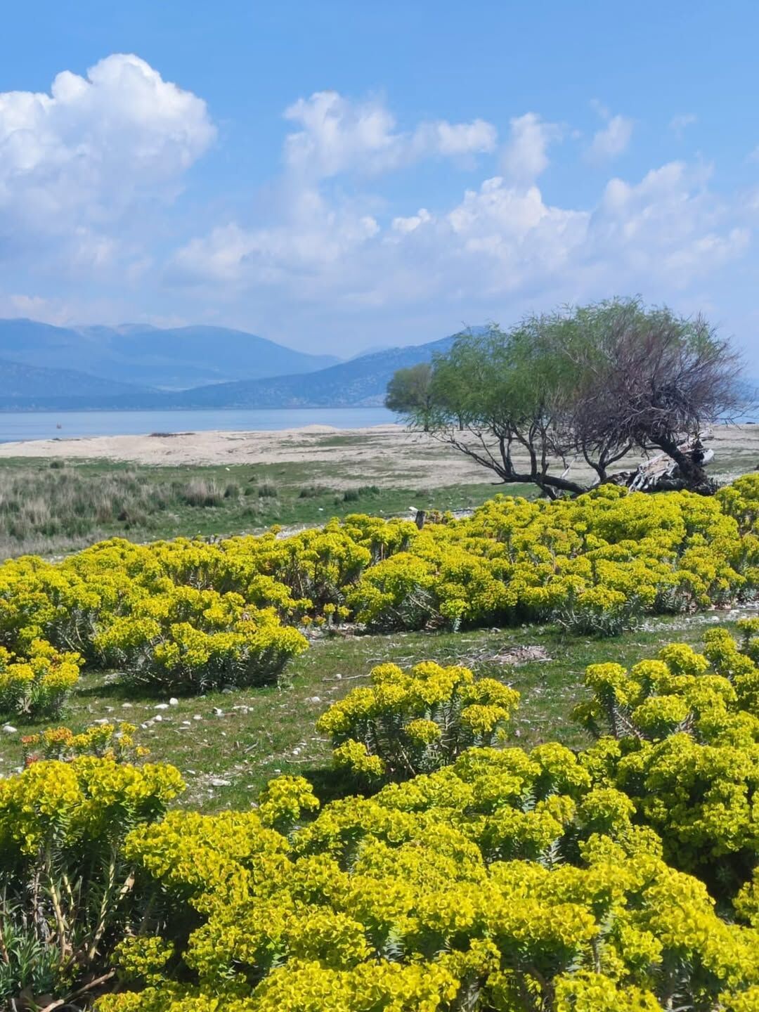 Eğirdir Gölü İçin Koruma Bölgeleri Yeniden Değerlendiriliyor (2)