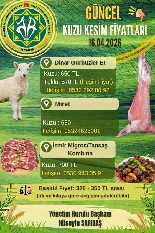 Güncel Kuzu Kesim Fiyatları Belli Oldu İşte Yeni Rakamlar