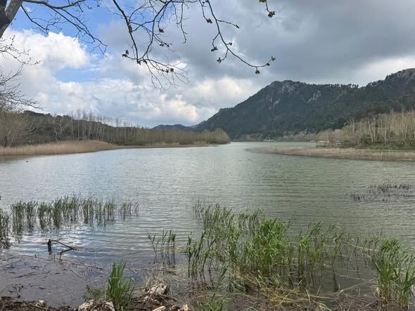Kovada’da Bahar Bereketi Vali Erin’den Doğa Mesajı (1)