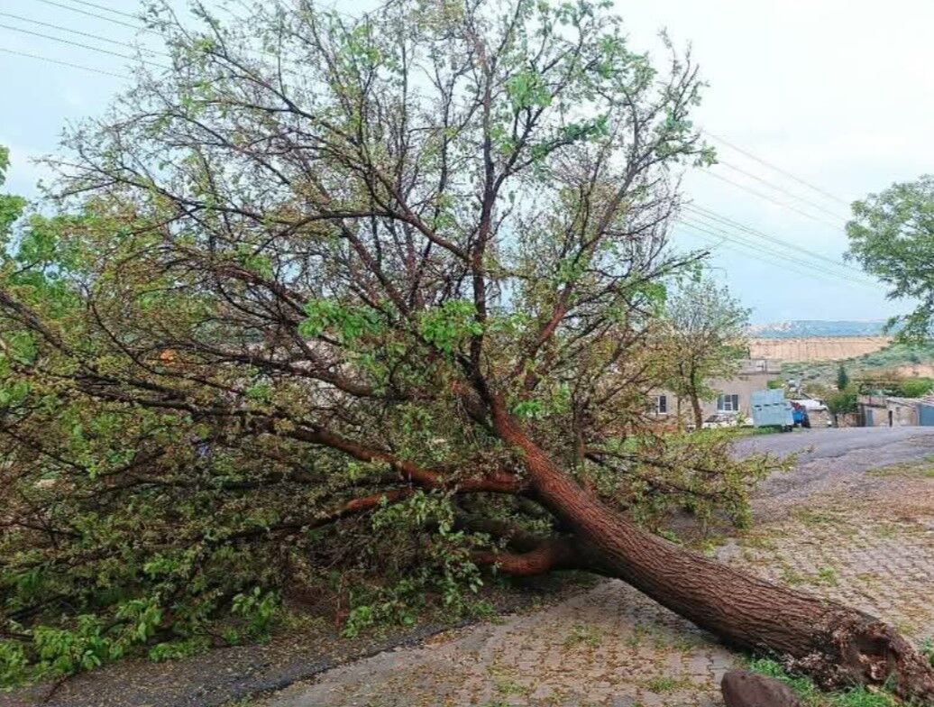 Antep Firtina