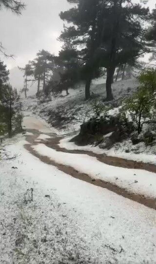 Egirdir Dolu