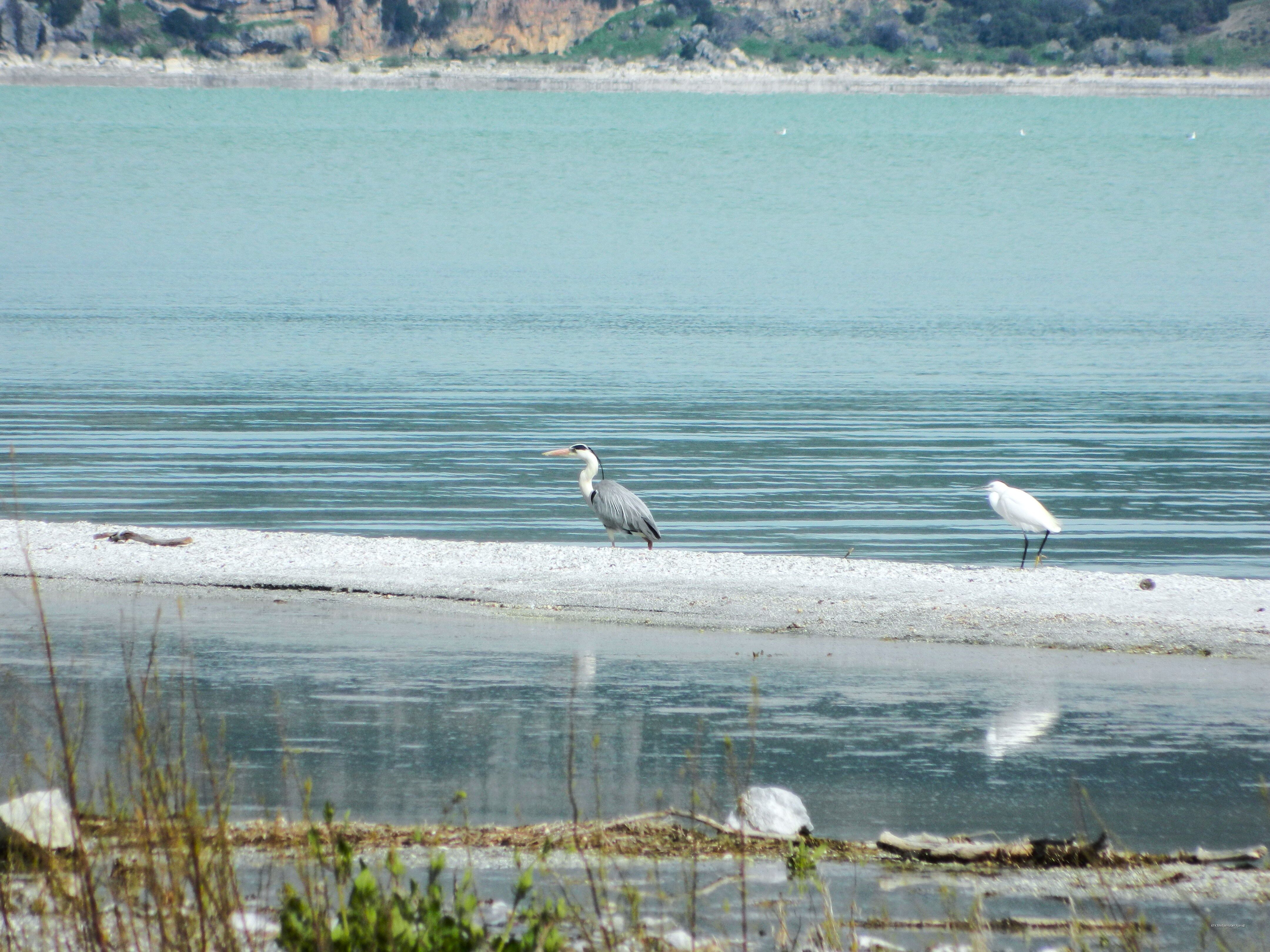 Fotoğraf Tutkunlarının Yeni Adresi Eğirdir’in Kristal Yolu (4)