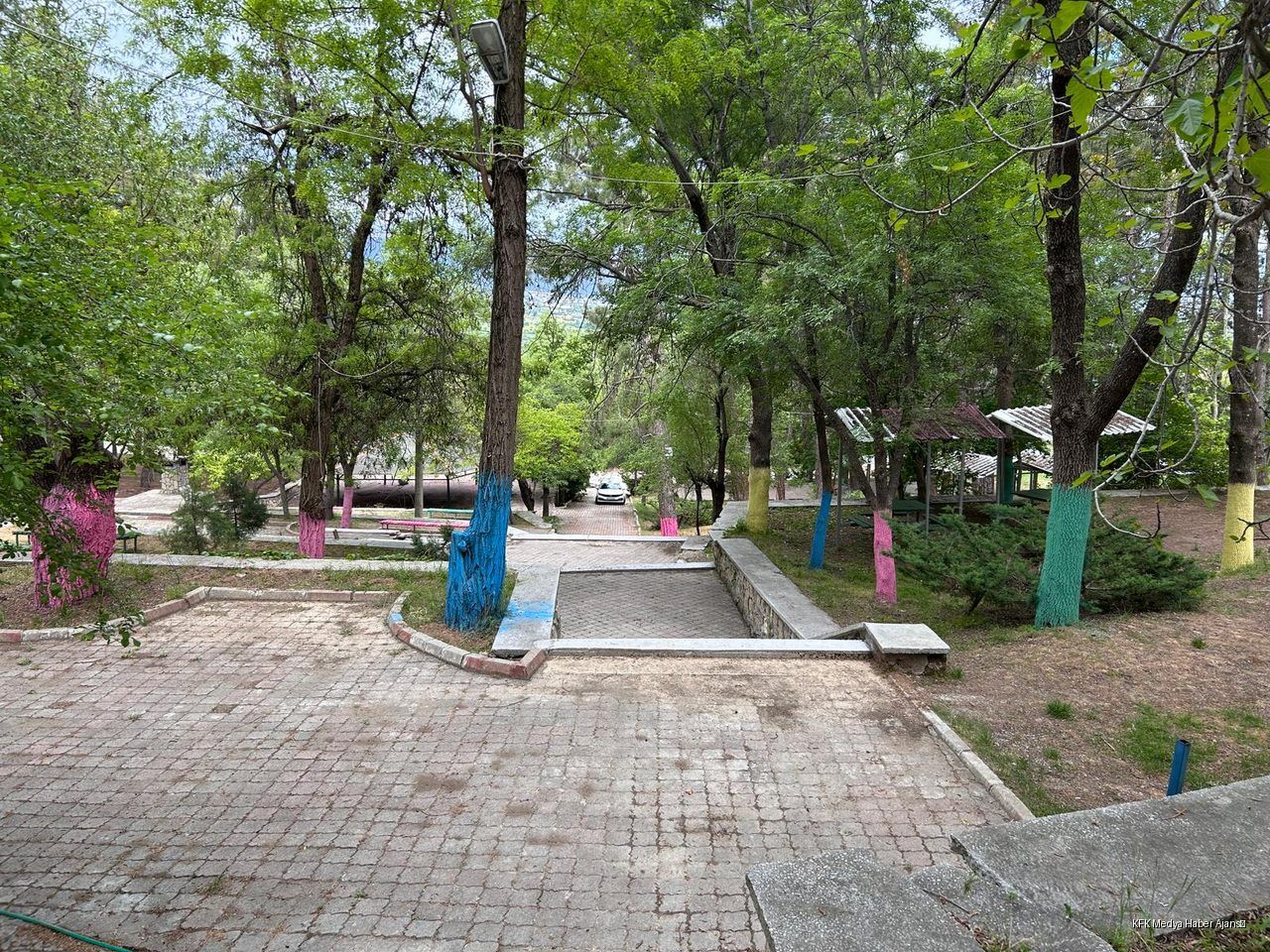 Isparta Gonen Tarla Pinari Mes 2
