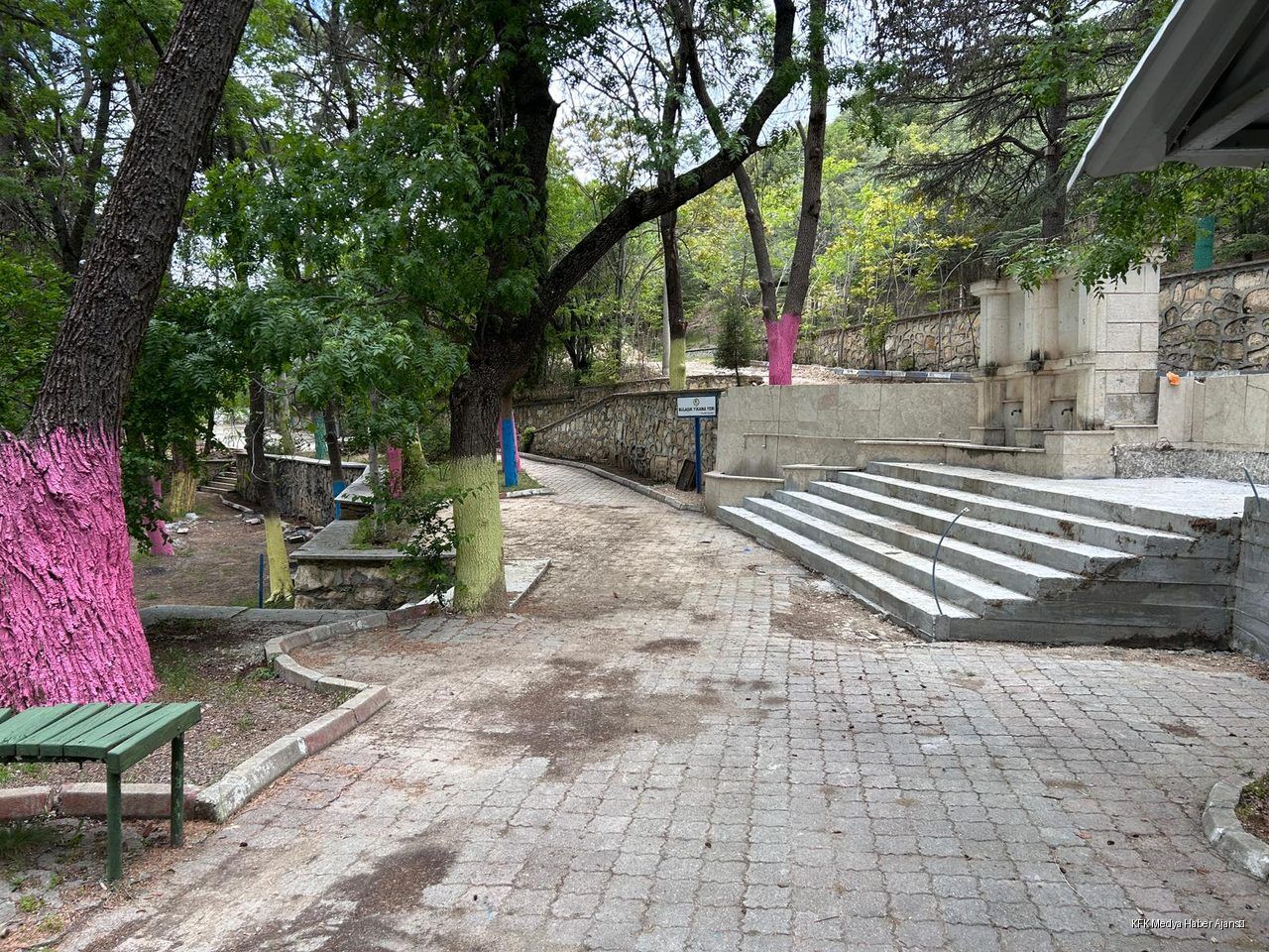 Isparta Gonen Tarla Pinari Mes 3