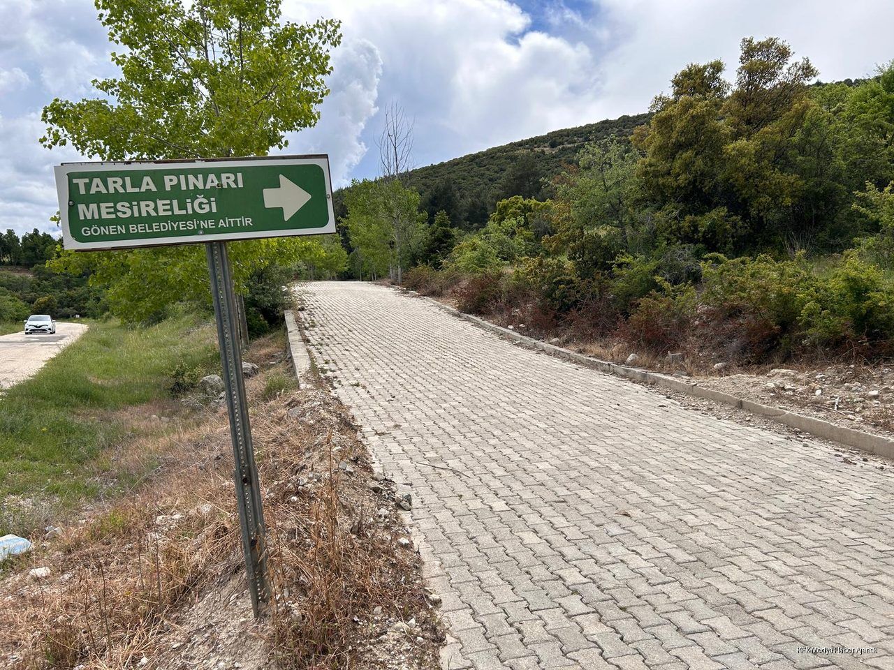 Isparta Gonen Tarla Pinari Mes 4