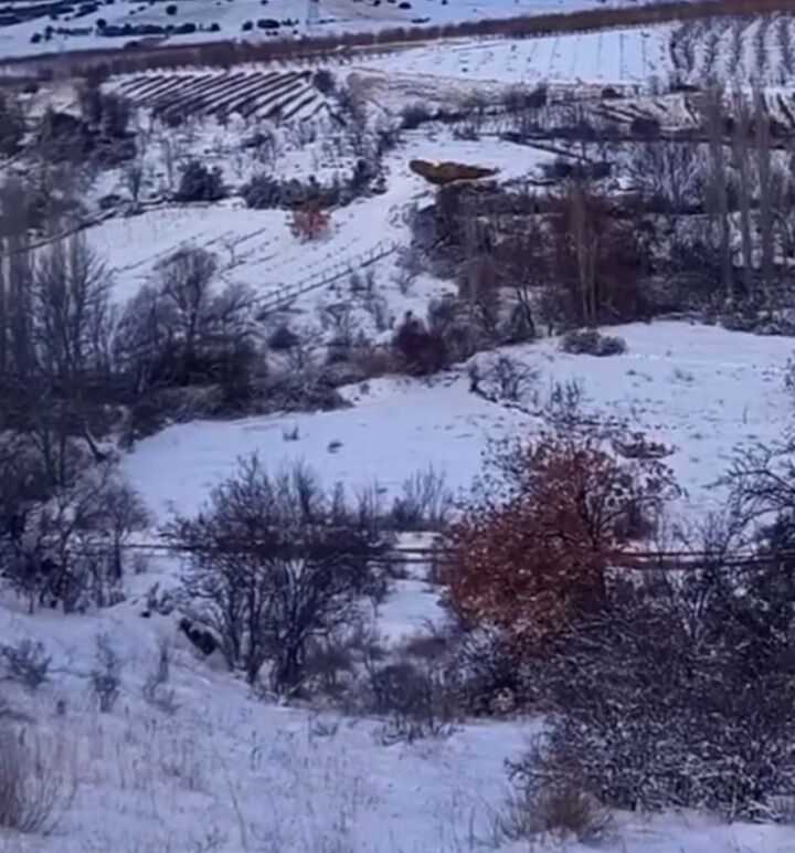 Isparta'da Bahar Çiçekleri Kar Altında Kaldı!-1