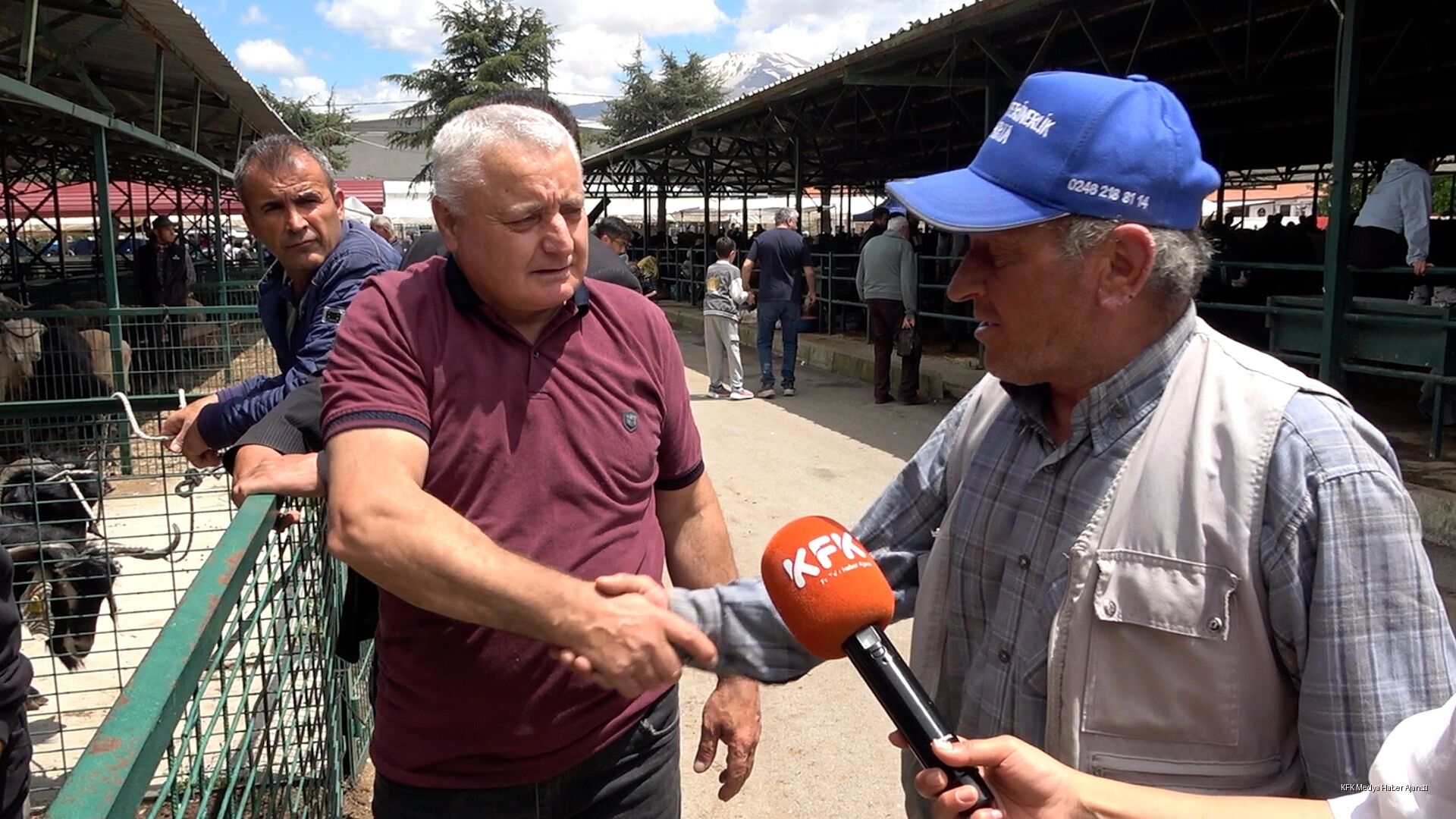 Kurbanlık Alacaklar Dikkat! Uzman İsim Tek Tek Anlattı (7)