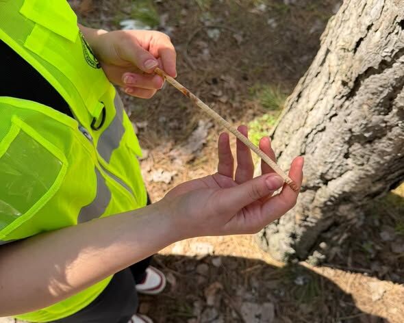 Mühendis Adaylarının Arazi Sınavı Gölcük’te Ekoloji Mesaisi (1)