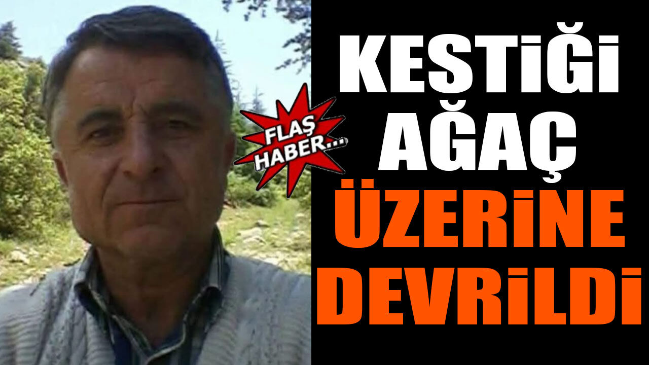 Kestiği ağaç üzerine devrildi