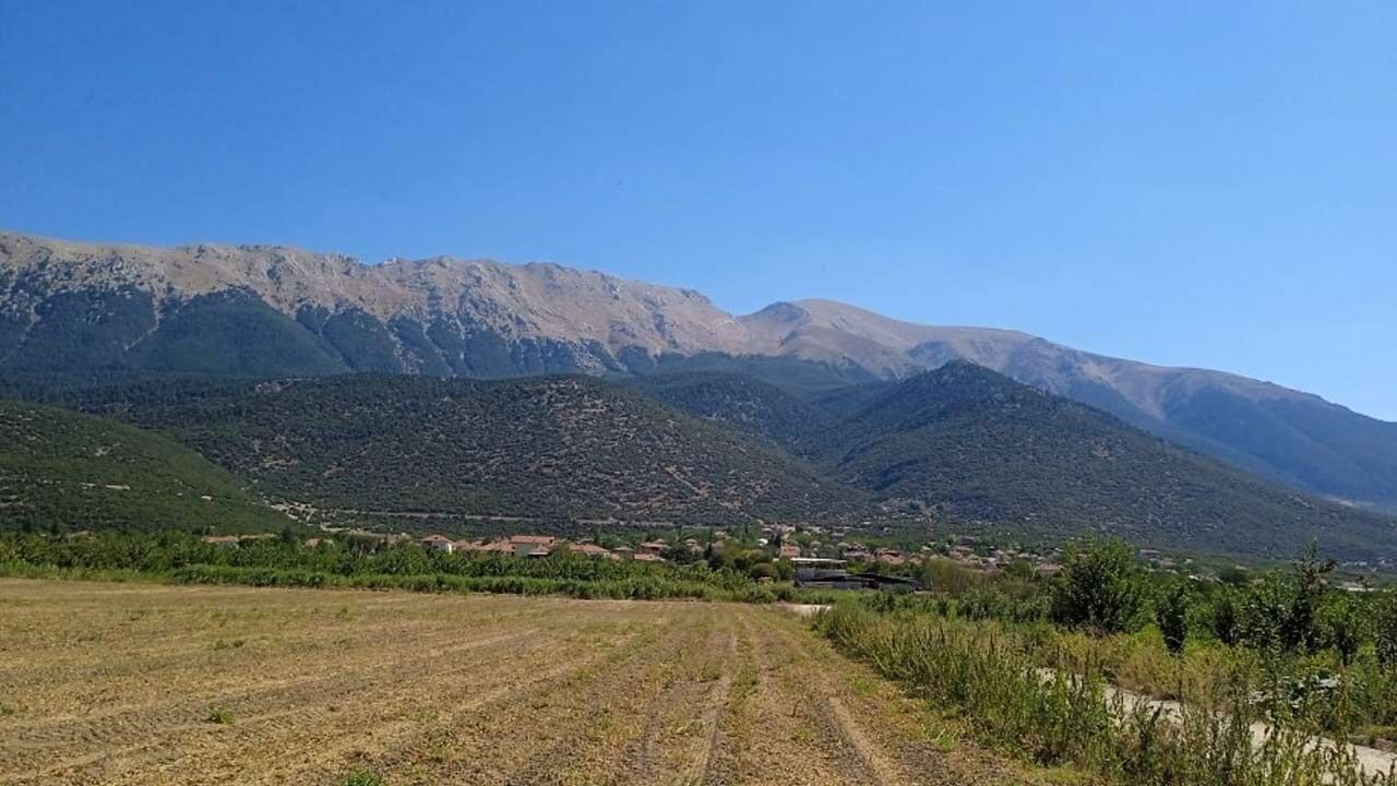 Barla Dagi Gelincik Tepesi