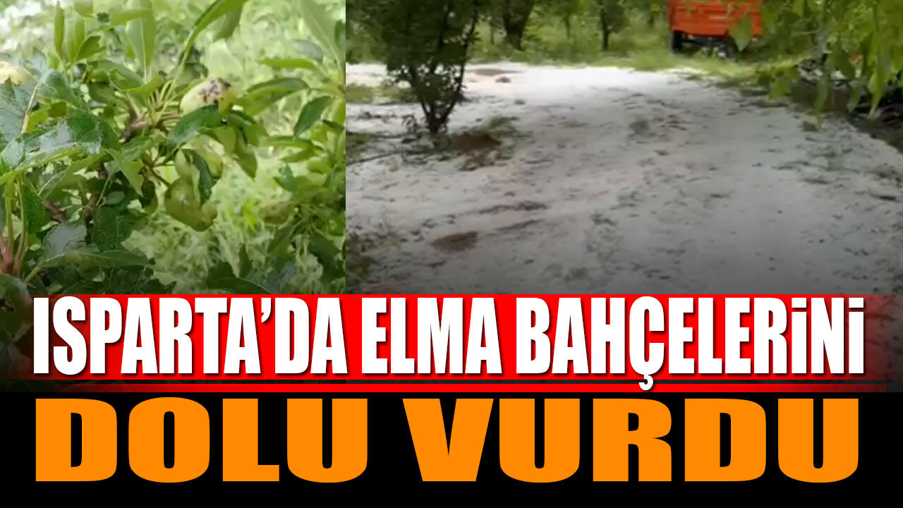 Isparta'da elma bahçelerini dolu vurdu