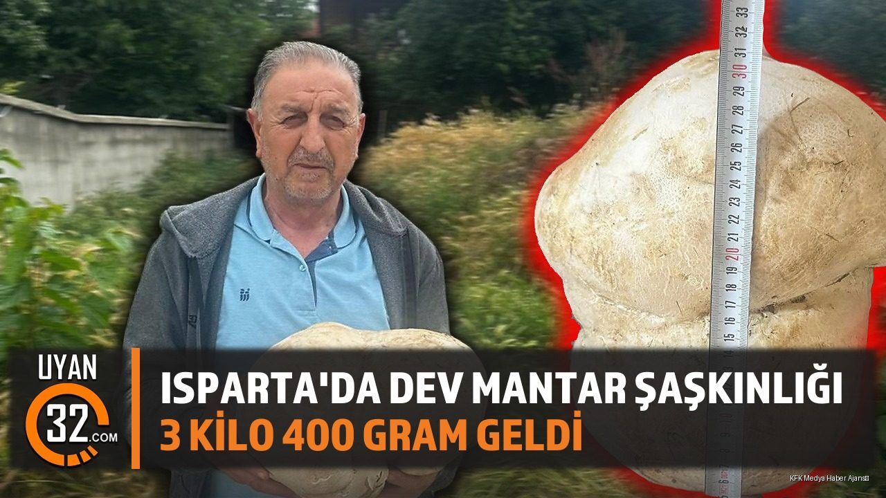 Isparta Yalvaç'ta Dev Mantar Şaşkınlığı: 3 Kilo 400 Gram Geldi