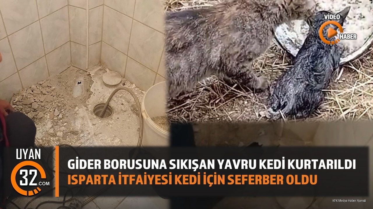 Isparta'da Gider Borusuna Sıkışan Yavru Kedi Kurtarıldı