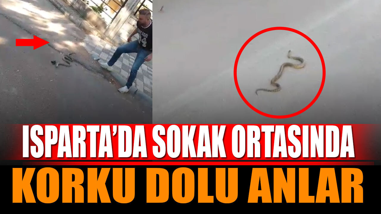 Isparta sokaklarında korku dolu dakikalar... (VİDEO HABER)