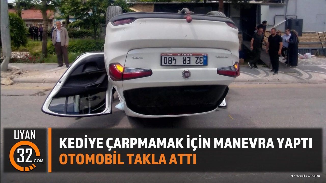 Kediye çarpmamak için manevra yaptı Otomobil takla attı