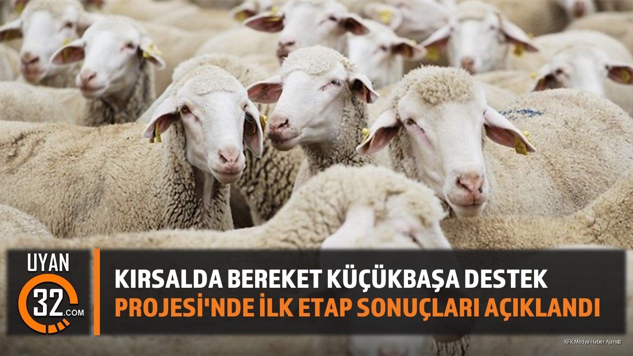 Kırsalda Bereket Küçükbaşa Destek Projesi'nde İlk Etap Sonuçları Açıklandı