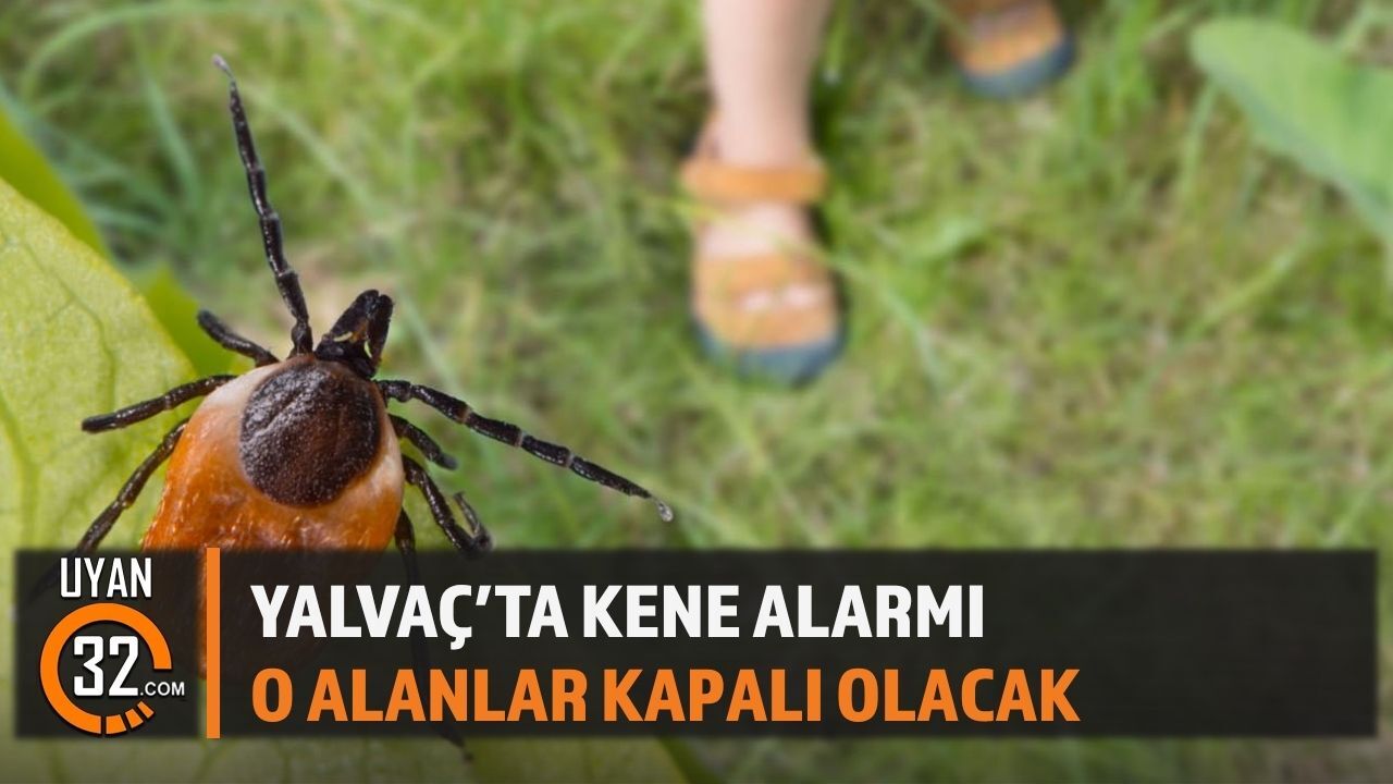 Yalvaç'ta Kene Alarmı! İlaçlama Çalışması Başlıyor