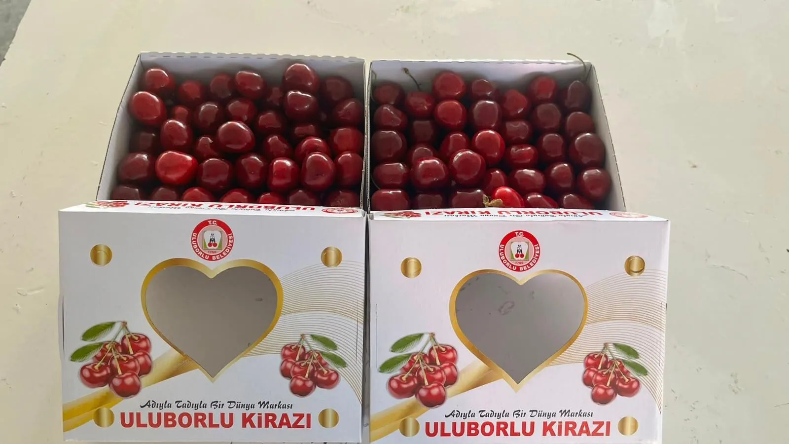 600 Milletvekiline Coğrafi İşaretli Kiraz Dağıttı (1)-1