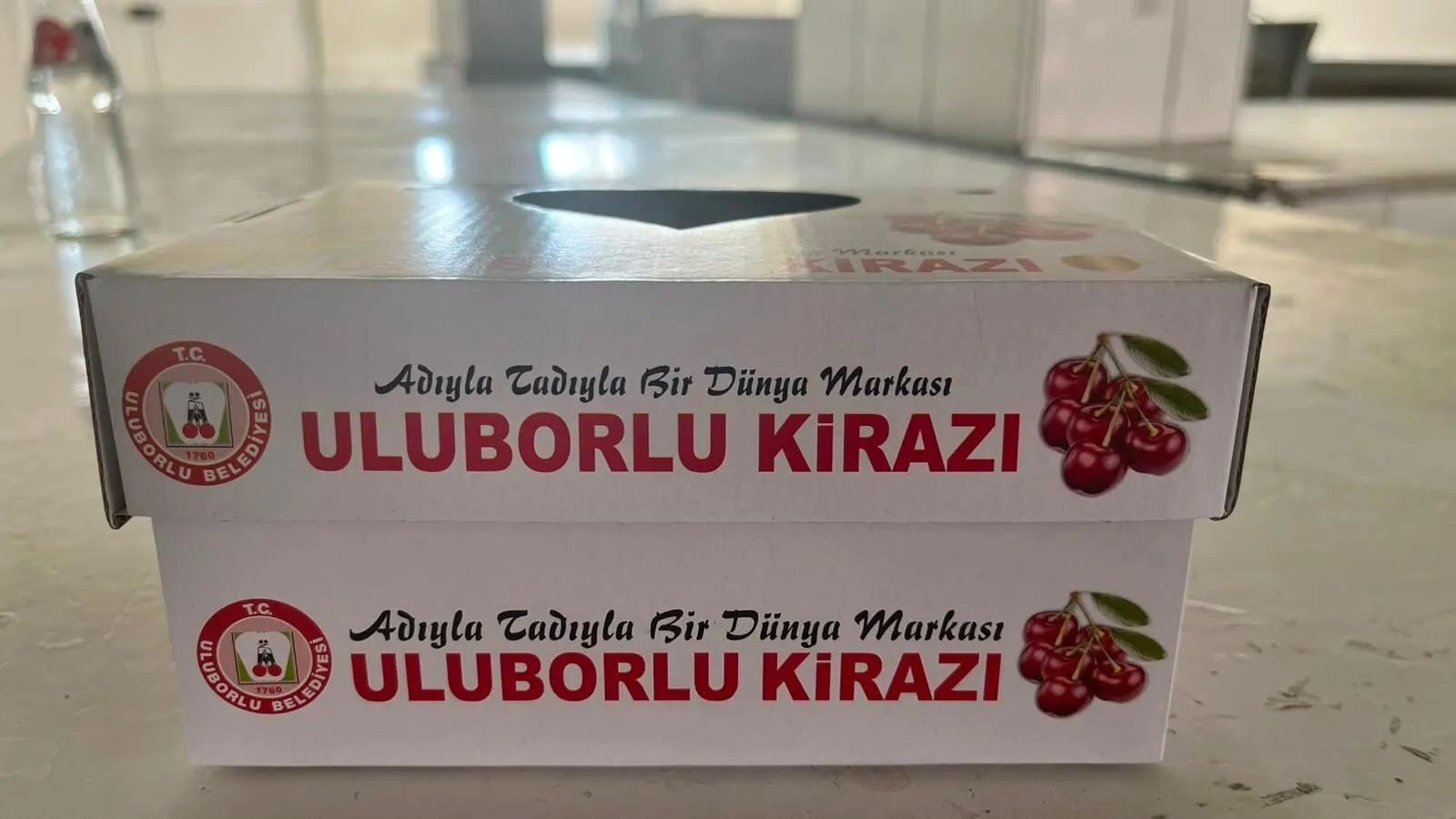 600 Milletvekiline Coğrafi İşaretli Kiraz Dağıttı (3)