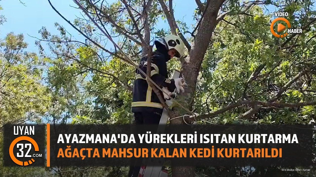 Ağaçta Mahsur Kalan Kediyi İtfaiye Kurtardı